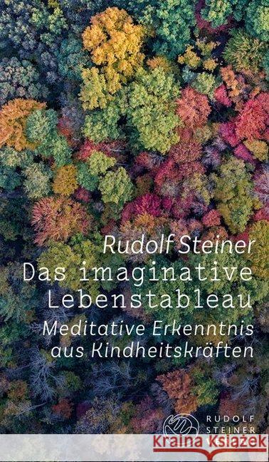 Das imaginative Lebenstableau : Meditative Erkenntnis aus Kindheitskräften Steiner, Rudolf 9783727454189 Rudolf Steiner Verlag - książka