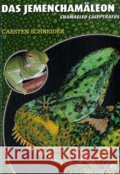 Das Jemenchamäleon : Chamaeleo calyptratus Schneider, Carsten   9783937285856 Natur und Tier-Verlag - książka