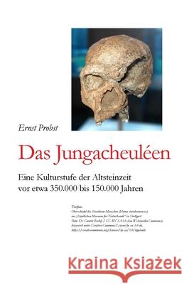 Das Jungacheuléen: Eine Kulturstufe der Altsteinzeit vor etwa 350.000 bis 150.000 Jahren Probst, Ernst 9781076587626 Independently Published - książka