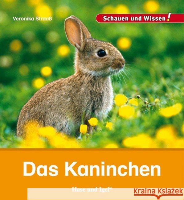 Das Kaninchen Straaß, Veronika 9783867607629 Hase und Igel - książka