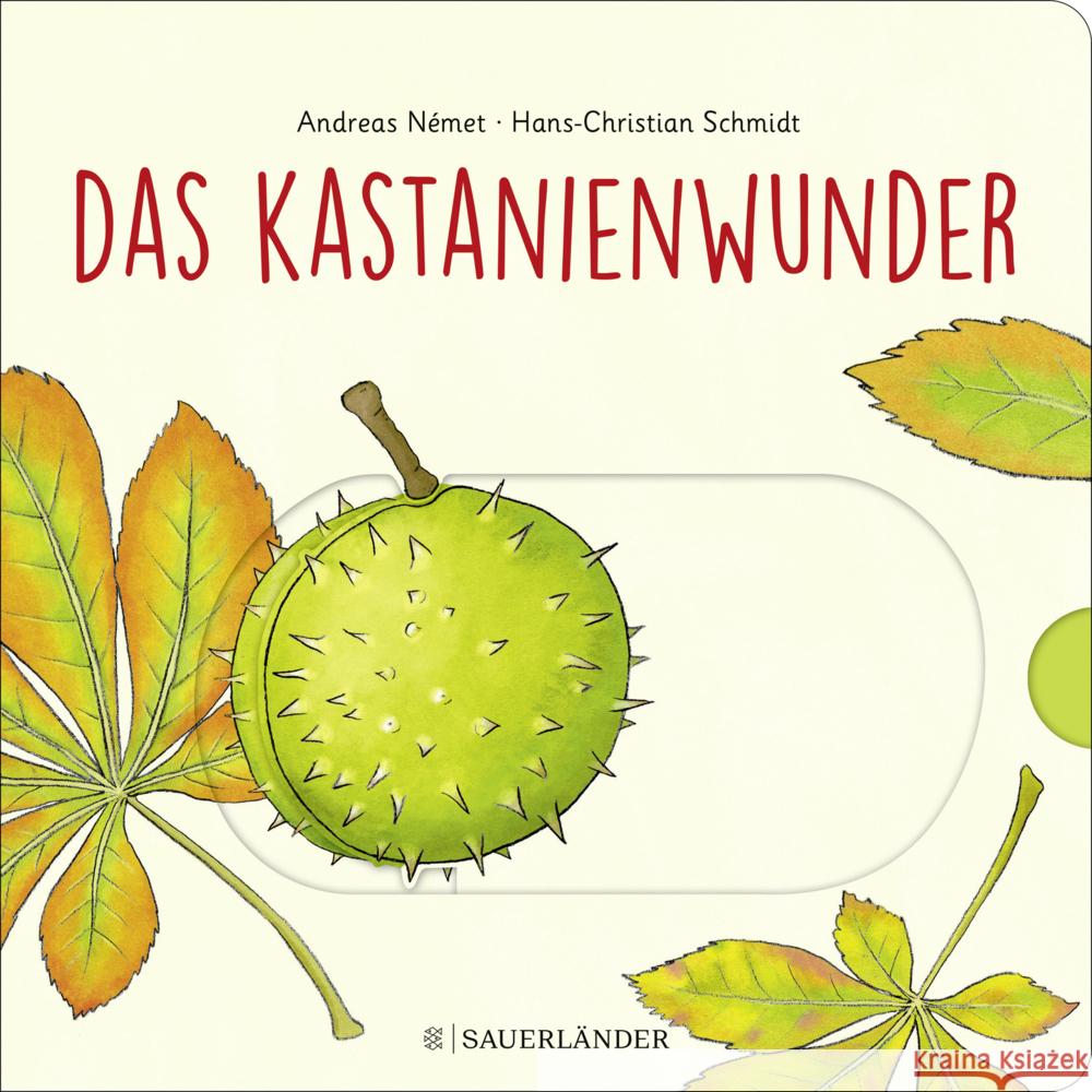 Das Kastanienwunder Schmidt, Hans-Christian 9783737359306 FISCHER Sauerländer - książka