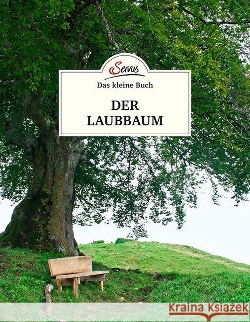 Das kleine Buch: Der Laubbaum Kospach, Julia 9783710401886 Servus - książka