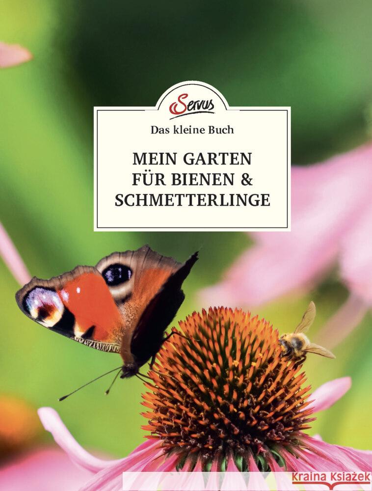 Das kleine Buch: Mein Garten für Bienen & Schmetterlinge Schubert, Veronika 9783710402715 Servus - książka