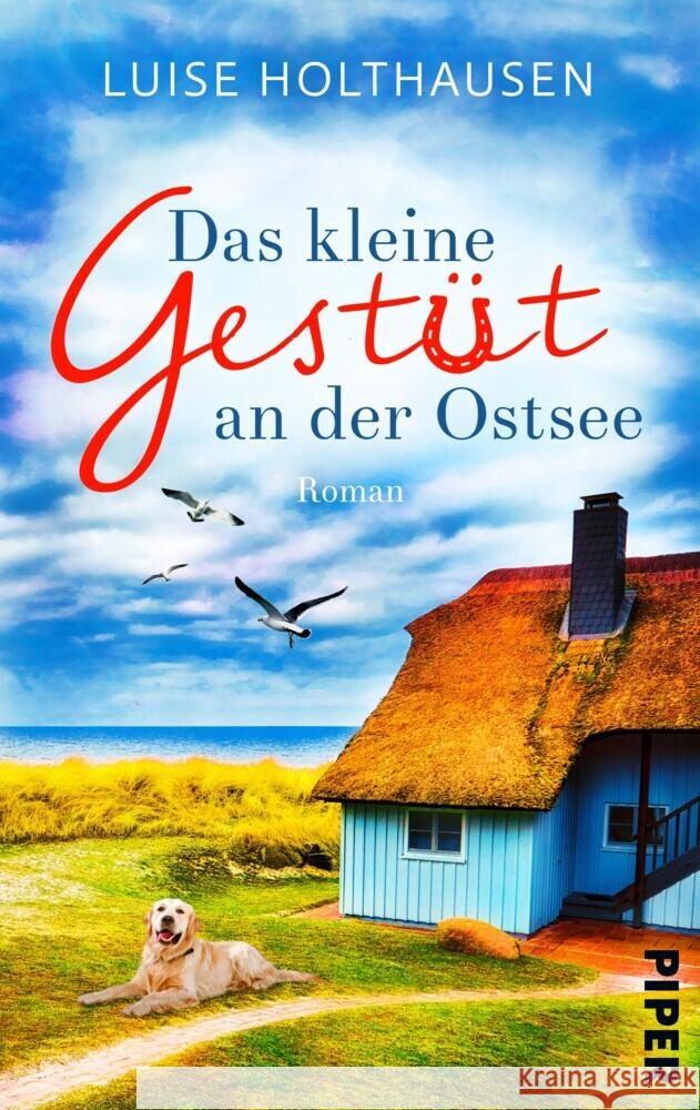 Das kleine Gestüt an der Ostsee Holthausen, Luise 9783492506670 Piper Gefühlvoll - książka