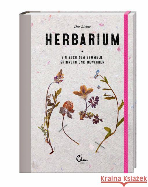 Das kleine Herbarium : Ein Buch zum Sammeln, Erinnern und Bewahren Valk, Saskia de; Noort, Maartje van den 9783959100403 Eden Books - książka