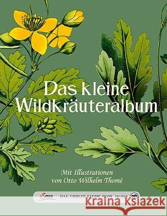 Das kleine Wildkräuteralbum  9783710400544 Servus - książka