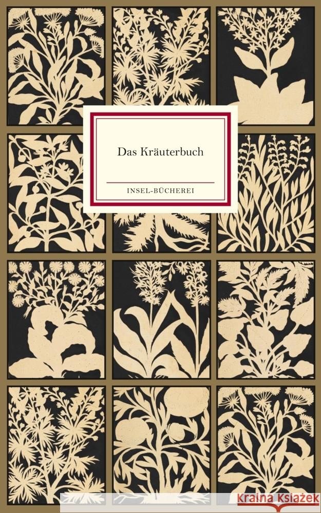 Das Kräuterbuch des Johann Christoph Ende  9783458200451 Insel Verlag - książka