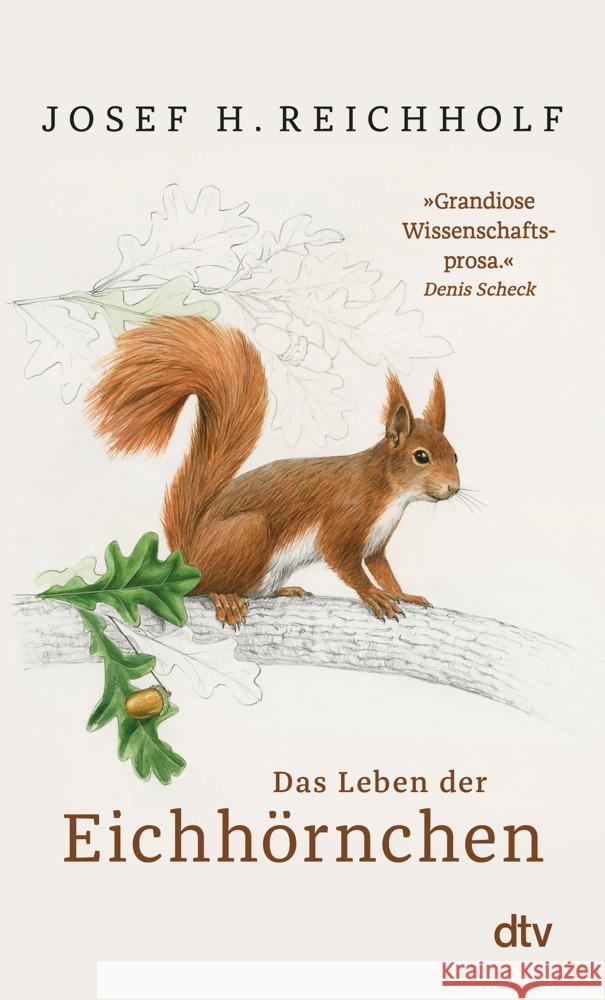 Das Leben der Eichhörnchen Reichholf, Josef H. 9783423349970 DTV - książka