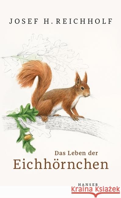 Das Leben der Eichhörnchen Reichholf, Josef H. 9783446264076 Hanser - książka