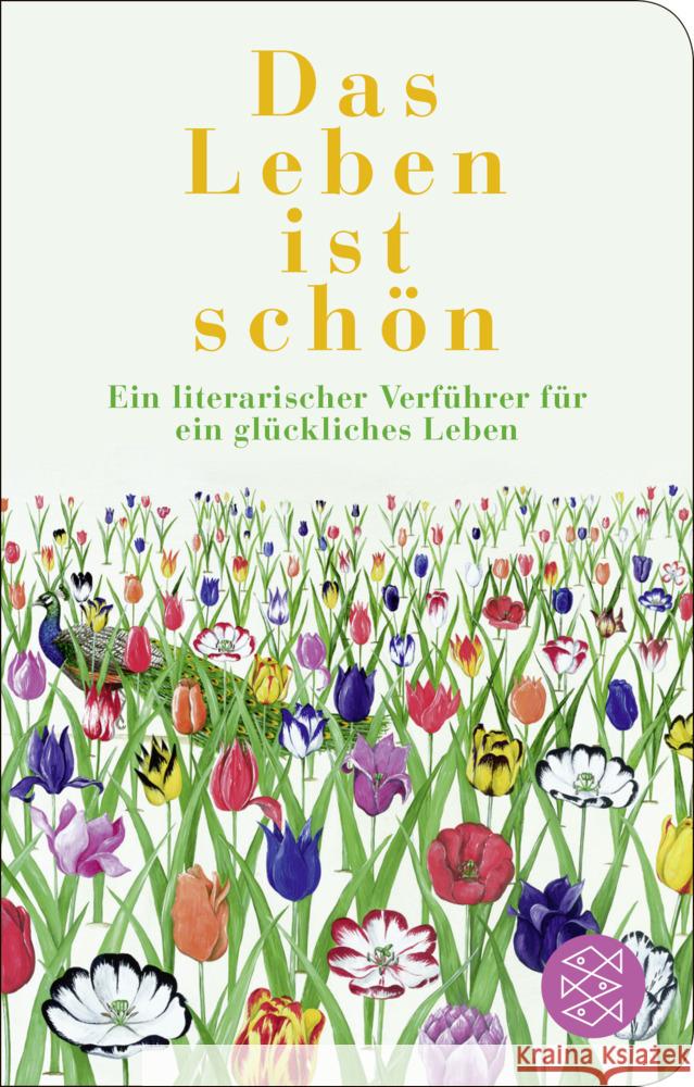 Das Leben ist schön  9783596523627 FISCHER Taschenbuch - książka