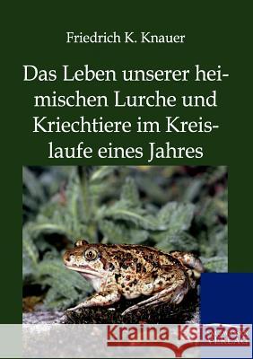 Das Leben Unserer Heimischen Lurche Und Kriechtiere Im Kreislaufe Eines Jahres Knauer, Friedrich K. 9783864443701 Salzwasser-Verlag - książka