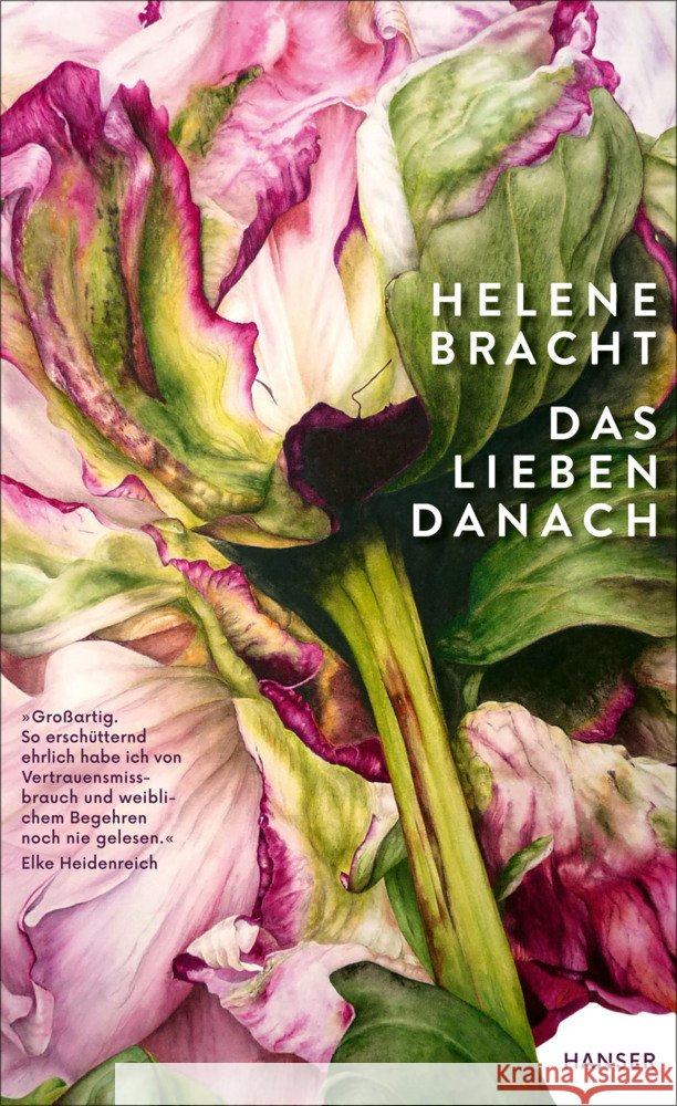 Das Lieben danach Bracht, Helene 9783446282919 Hanser - książka