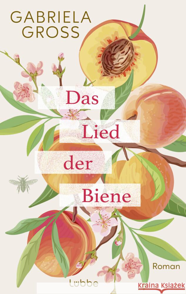Das Lied der Biene Groß, Gabriela 9783757700294 Bastei Lübbe - książka