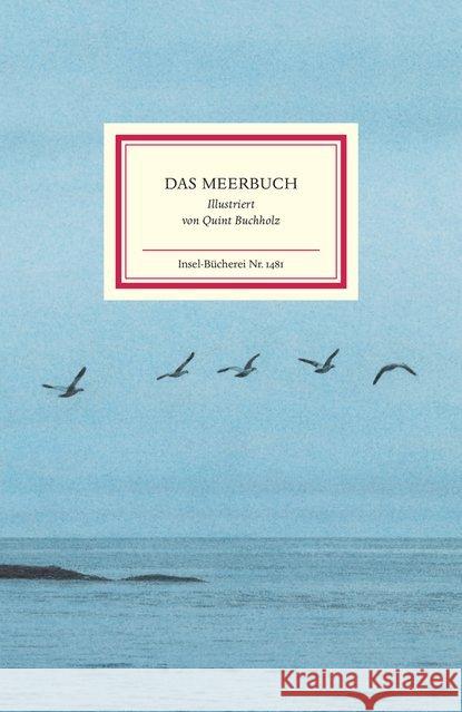 Das Meerbuch  9783458194811 Insel Verlag - książka