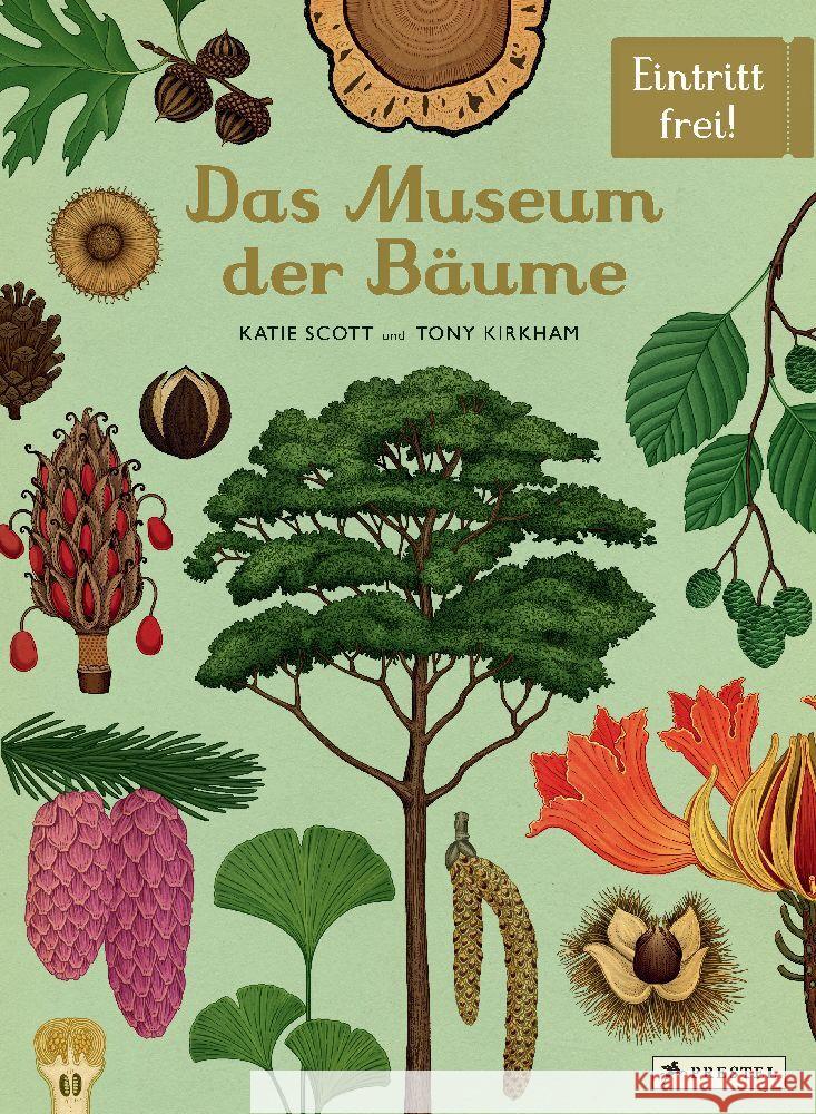 Das Museum der Bäume Kirkham, Tony, Scott, Katie 9783791375540 Prestel - książka