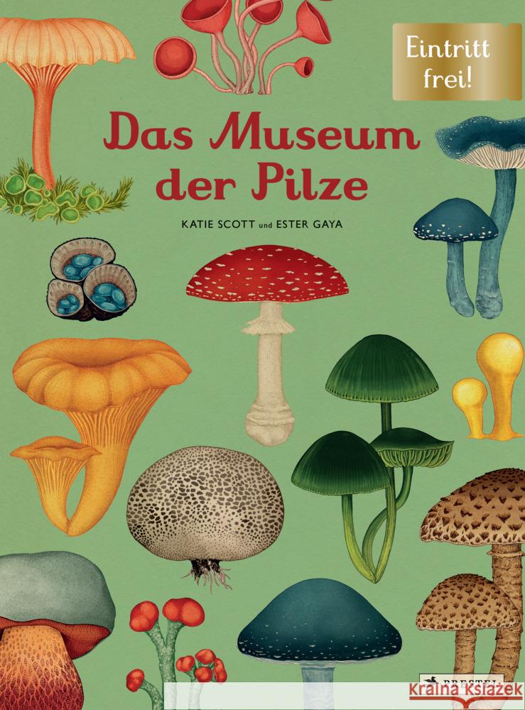 Das Museum der Pilze Gaya, Ester, Scott, Katie 9783791374529 Prestel - książka