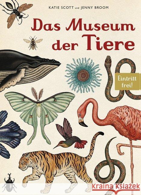 Das Museum der Tiere : Eintritt frei! Broom, Jenny 9783791371771 Prestel - książka