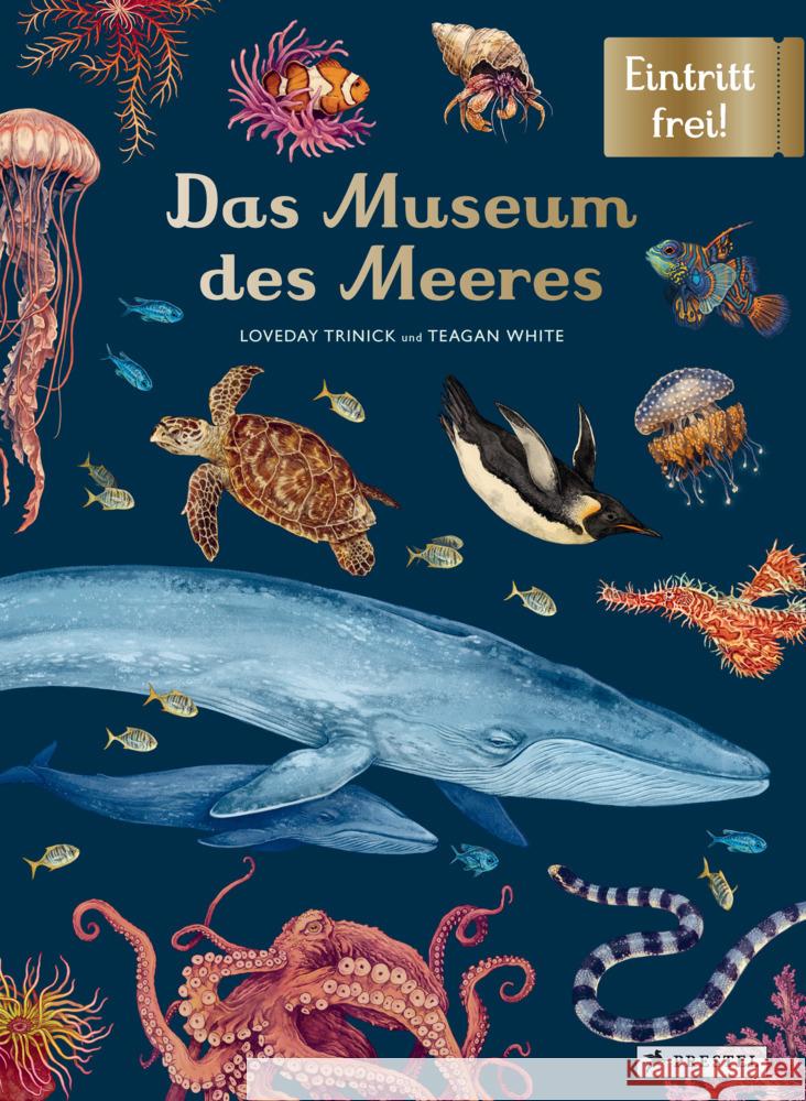 Das Museum des Meeres Trinick, Loveday, White, Teagan 9783791374628 Prestel - książka