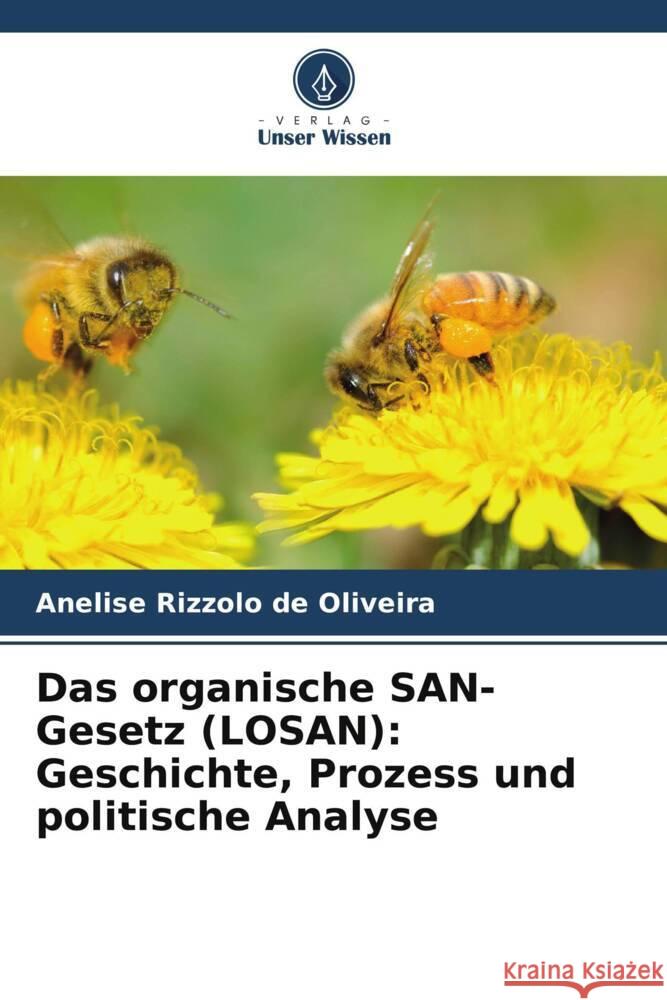 Das organische SAN-Gesetz (LOSAN): Geschichte, Prozess und politische Analyse Rizzolo de Oliveira, Anelise 9786208591670 Verlag Unser Wissen - książka