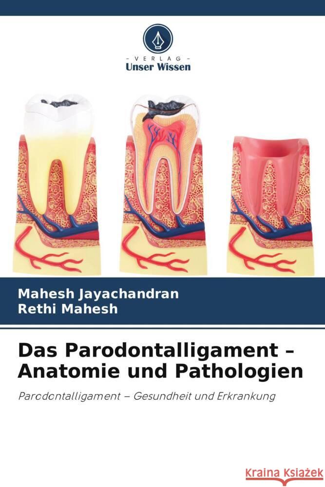 Das Parodontalligament - Anatomie und Pathologien Jayachandran, Mahesh, Mahesh, Rethi 9786208954314 Verlag Unser Wissen - książka