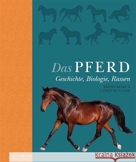 Das Pferd : Geschichte, Biologie, Rassen Busby, Debbie; Rutland, Catrin 9783258080925 Haupt - książka