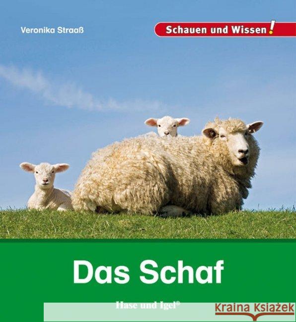 Das Schaf Straaß, Veronika 9783867607865 Hase und Igel - książka