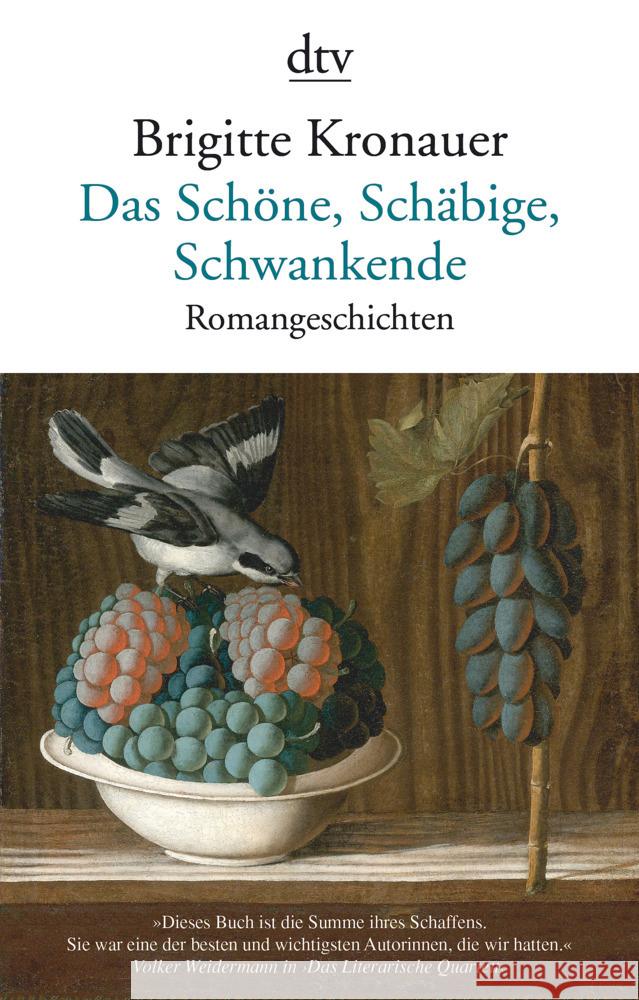 Das Schöne, Schäbige, Schwankende Kronauer, Brigitte 9783423147941 DTV - książka