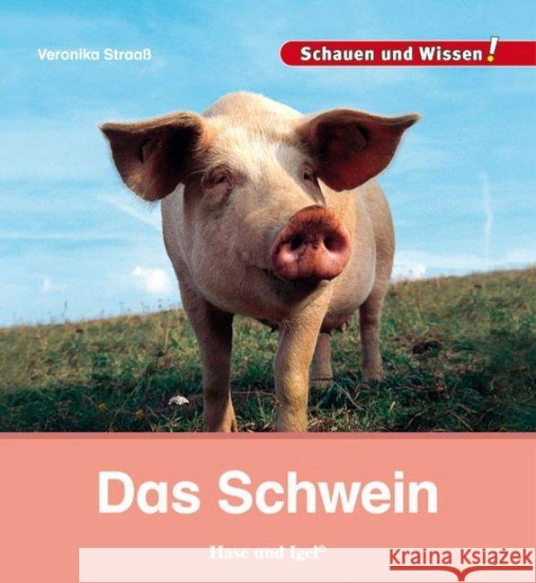 Das Schwein Straaß, Veronika 9783867607858 Hase und Igel - książka