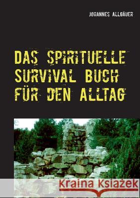 Das spirituelle Survival Buch für den Alltag Johannes Allgauer 9783748133377 Books on Demand - książka