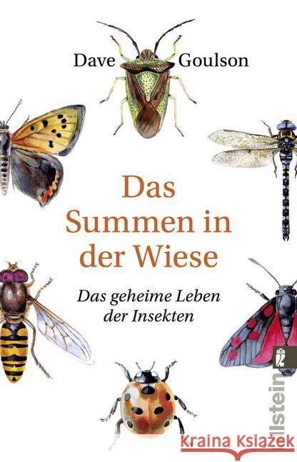 Das Summen in der Wiese : Das geheime Leben der Insekten. Auch unter dem Titel: Wenn der Nagekäfer zweimal klopft Goulson, Dave 9783548377506 Ullstein TB - książka