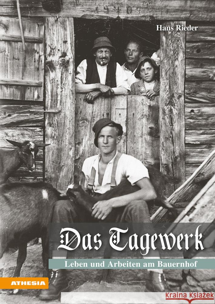 Das Tagewerk Rieder, Hans 9788868398491 Athesia Buch - książka