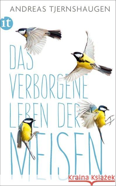 Das verborgene Leben der Meisen Tjernshaugen, Andreas 9783458363941 Insel Verlag - książka