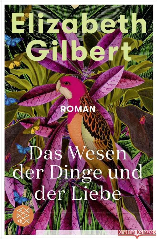 Das Wesen der Dinge und der Liebe Gilbert, Elizabeth 9783596708109 FISCHER Taschenbuch - książka