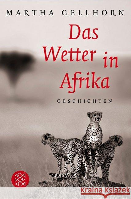 Das Wetter in Afrika : Novellen Gellhorn, Martha 9783596179848 Fischer (TB.), Frankfurt - książka