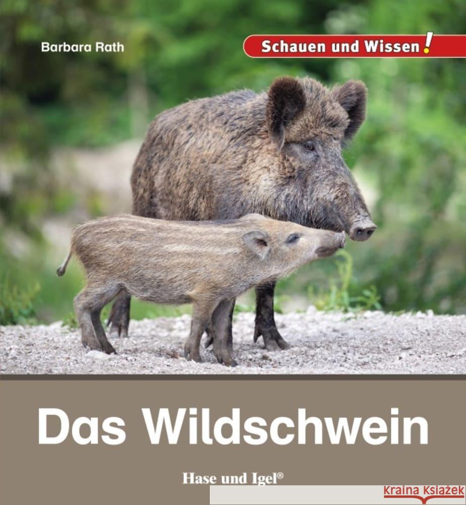 Das Wildschwein Rath, Barbara 9783863163617 Hase und Igel - książka