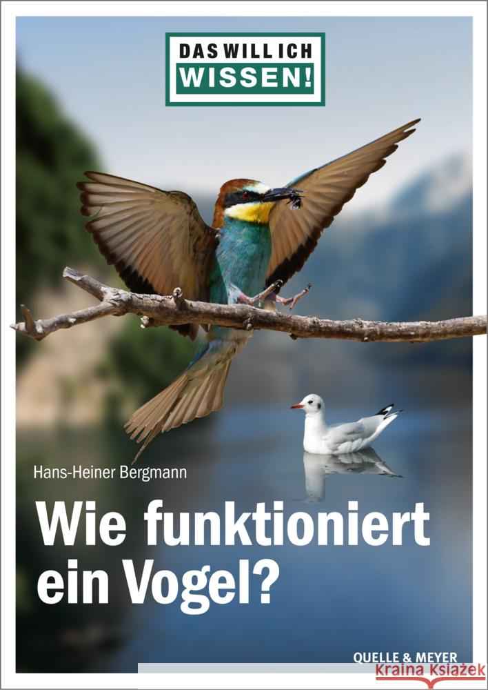 Das will ich wissen! Wie funktioniert ein Vogel? Bergmann, Hans-Heiner 9783494019376 Quelle & Meyer - książka