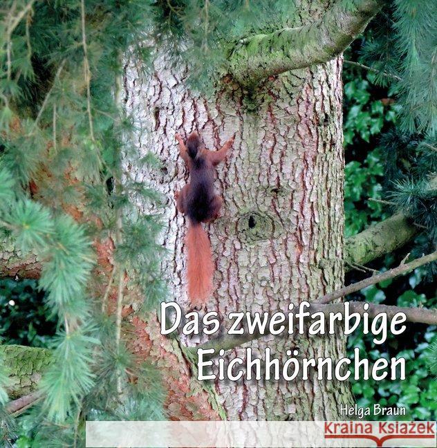 Das zweifarbige Eichhörnchen Braun, Helga 9783861968412 Papierfresserchens MTM-Verlag - książka