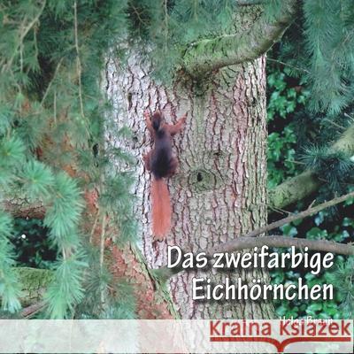 Das zweifarbige Eichhörnchen Braun, Helga 9783960742715 Papierfresserchens MTM-Verlag - książka