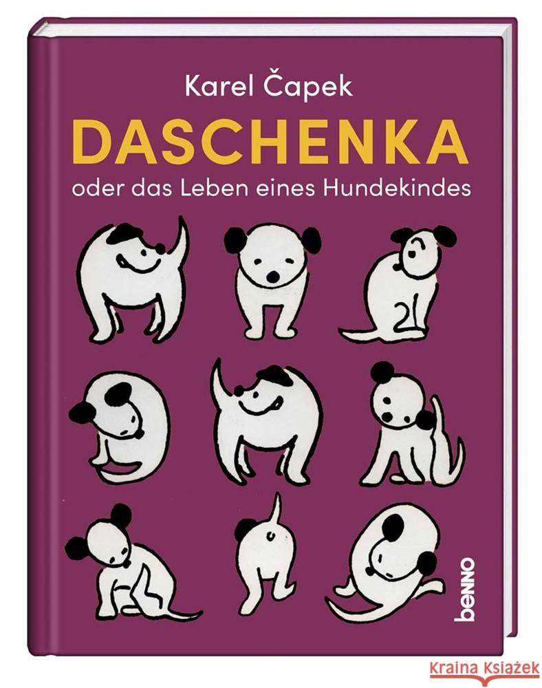 Daschenka oder das Leben eines Hundekindes Capek, Karel 9783746261003 St. Benno - książka