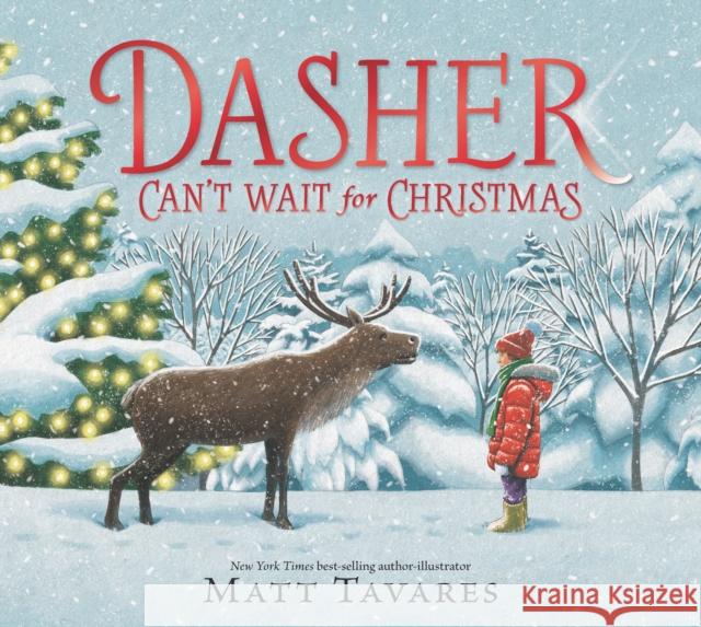 Dasher Can't Wait for Christmas Matt Tavares 9781529514193 Walker Books Ltd - książka