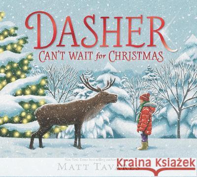 Dasher Can\'t Wait for Christmas Matt Tavares Matt Tavares 9781536230130 Candlewick Press (MA) - książka