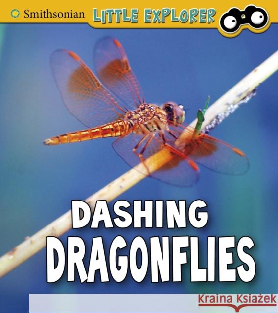 Dashing Dragonflies Megan Cooley Peterson 9781474770606 Capstone Global Library Ltd - książka