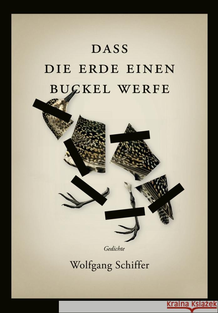 Dass die Erde einen Buckel werfe Schiffer, Wolfgang 9783946989431 elifverlag - książka