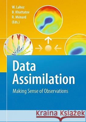 Data Assimilation: Making Sense of Observations Lahoz, William 9783540747024 Springer - książka