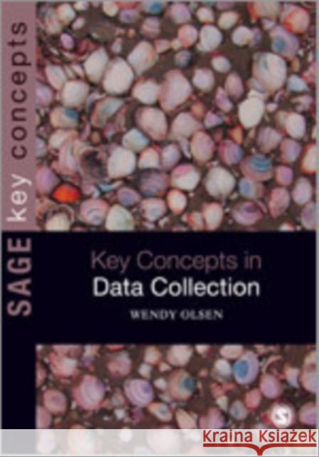 Data Collection: Key Debates and Methods in Social Research Olsen, Wendy 9781847872555 Sage Publications (CA) - książka