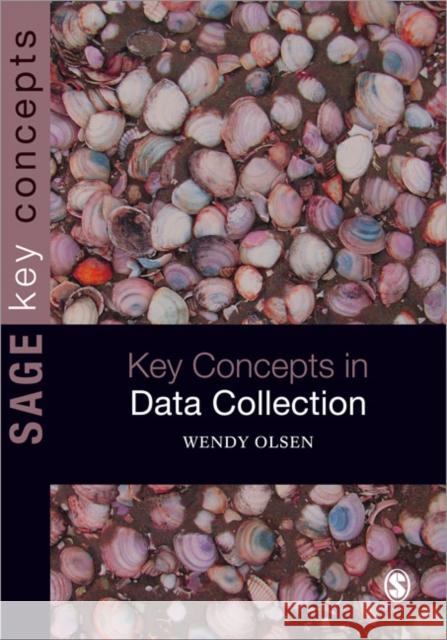 Data Collection: Key Debates and Methods in Social Research Olsen, Wendy 9781847872562  - książka