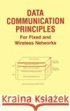 Data Communication Principles: For Fixed and Wireless Networks Ahmad, Aftab 9781402073281 Kluwer Academic Publishers