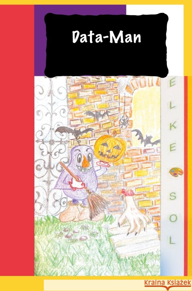 Data-Man Band 2 Sol, Elke 9783819461347 via tolino media - książka