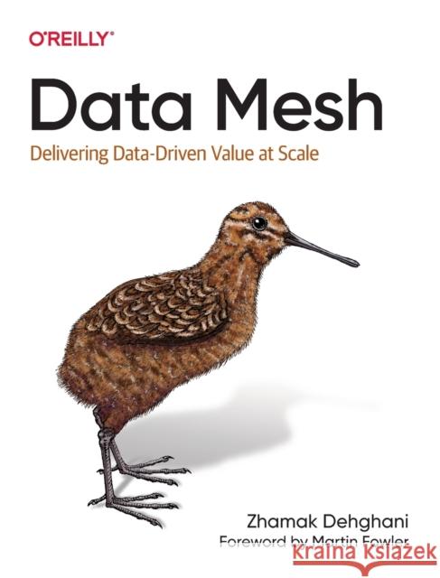 Data Mesh: Delivering Data-Driven Value at Scale Zhamak Dehghani 9781492092391 O'Reilly Media - książka
