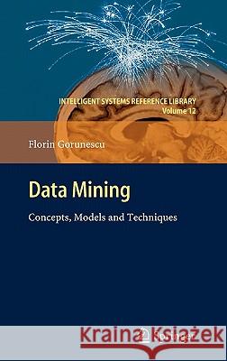 Data Mining: Concepts, Models and Techniques Florin Gorunescu 9783642197208 Springer-Verlag Berlin and Heidelberg GmbH &  - książka